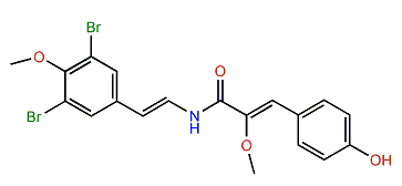 Botryllamide A